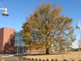 South Tryon Bus Facility