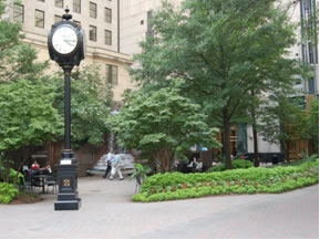The Square