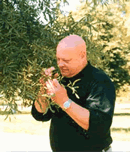 City Arborist at Work