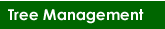 Tree Management
