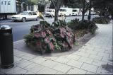 Tryon Street Mall - AFTER