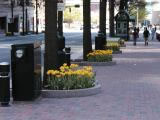 Tryon Street Mall - AFTER